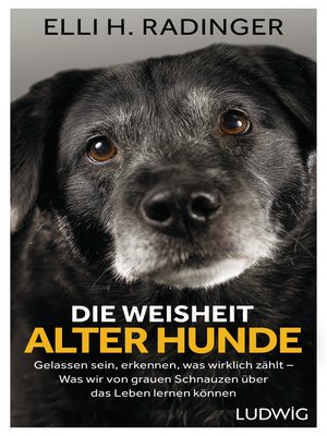 cover image of Die Weisheit alter Hunde